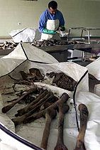 Forensic worker Forensic worker